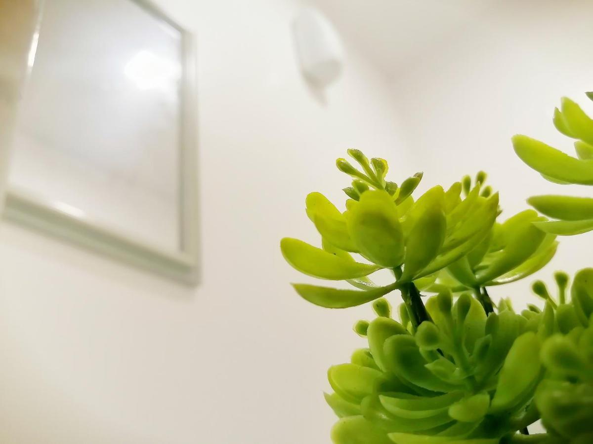 Vg Pension And Residences Adlawon Экстерьер фото
